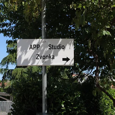 Zvonka * זמברטיה